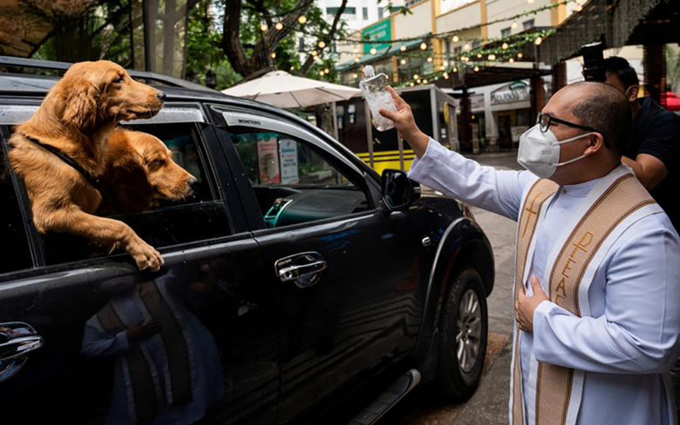 Priest blesses animals